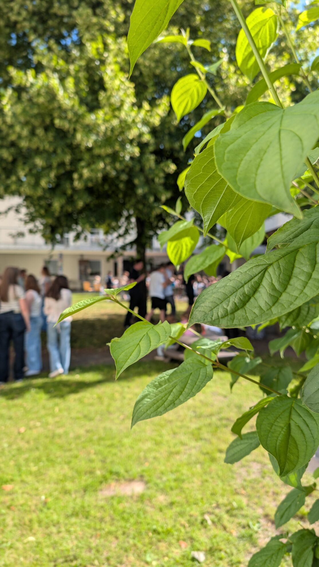 Letzter Schultag